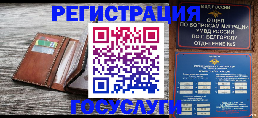 временная регистрация гарантия в Хвалынске